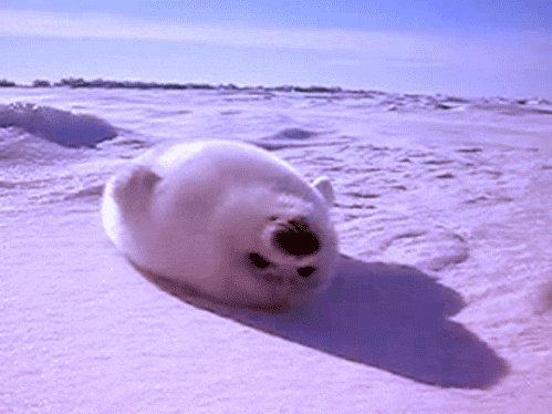It’s National Lazy Day, So We Threw Together Some Cute Lazy Animal GIFs