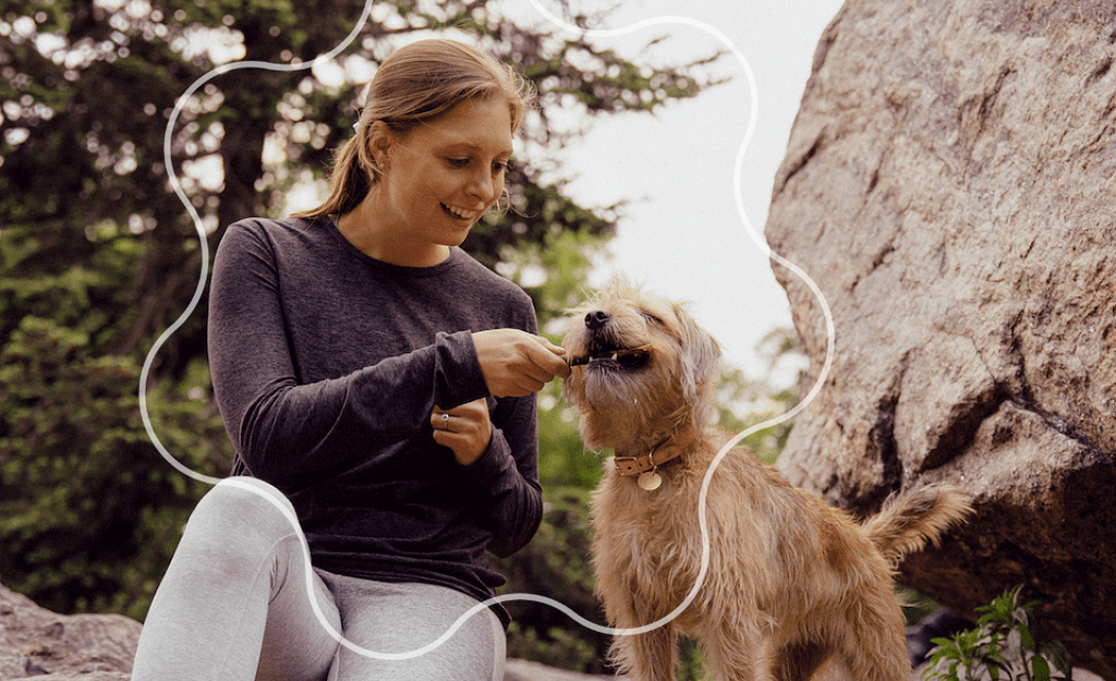 This Vet Couldn’t Find Dog Food Good Enough For Her Pup—So She Created Her Own