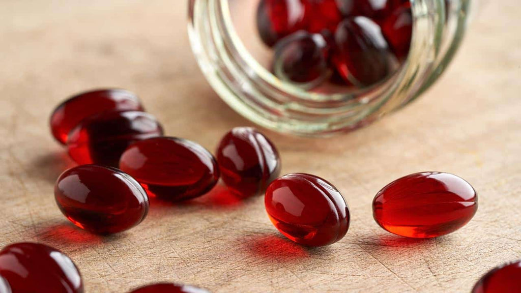 Best Krill Oil Supplement: Top Picks for Optimal Health