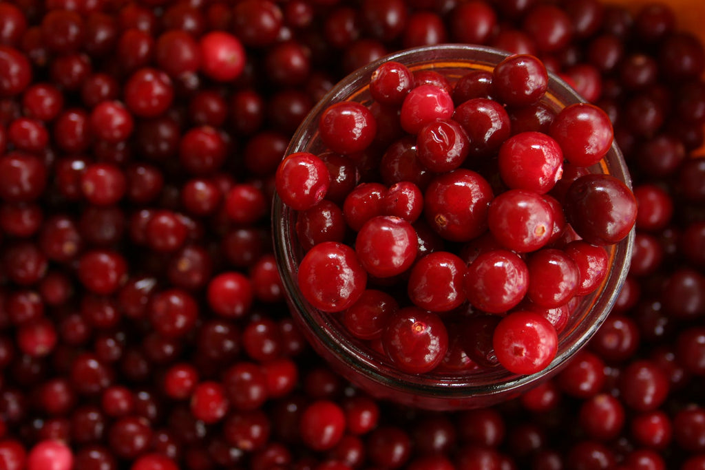 Best Cranberry Supplement: Top 8 Picks for Urinary Tract Health